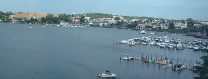 Red Bank Marina is one of Orte, die Lizzie gefallen.