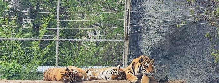 Almaty Zoo is one of Kazakhstan.