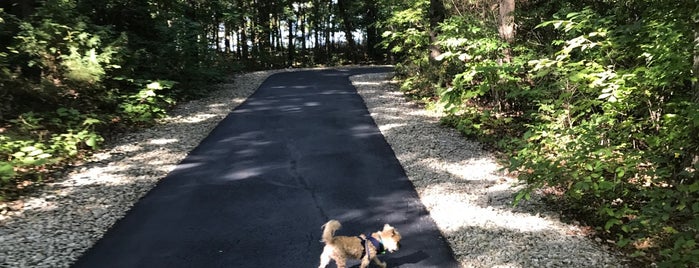 White River Valley Trail Head is one of Branson without the Glitter.