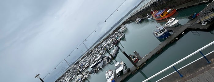 Torquay Harbour is one of Devon.