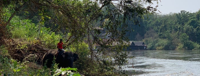 Wang Pho Elephant Camp is one of ที่เที่ยว.