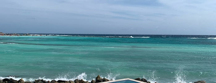 Rum Reef is one of Aruba.