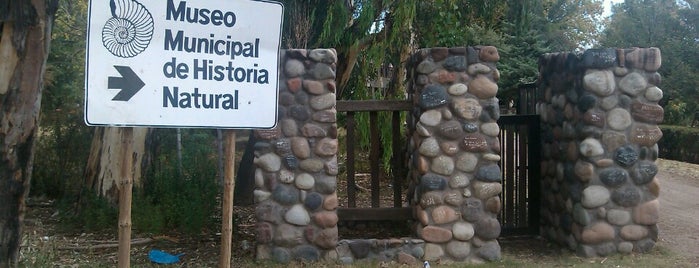 Museo Municipal Historia Natural is one of Cuyo (AR).