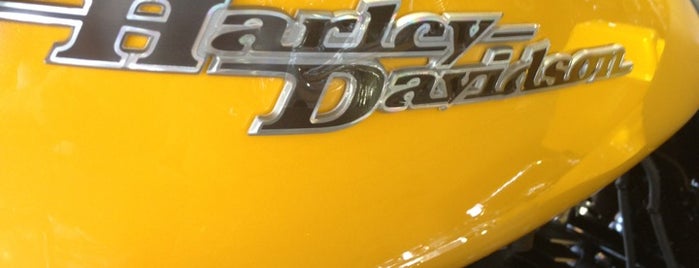 Harley Davidson is one of สถานที่ที่บันทึกไว้ของ Bunny.