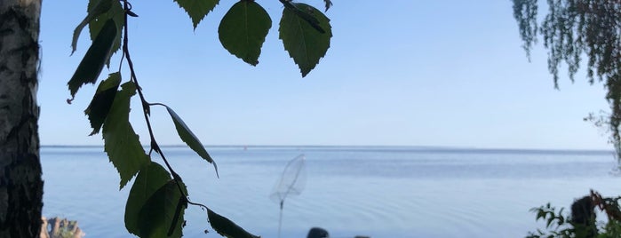 Shroomov beach is one of Alexey : понравившиеся места.