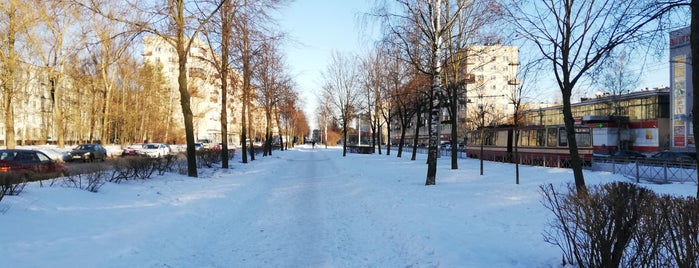 Улица Пограничника Гарькавого is one of Улицы Санкт-Петербурга.