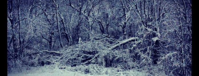 Snowmageddon 2012! is one of Lieux qui ont plu à Ray L..