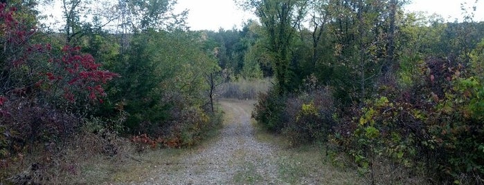 Crow-Hassan Park Reserve is one of Three Rivers Parks.