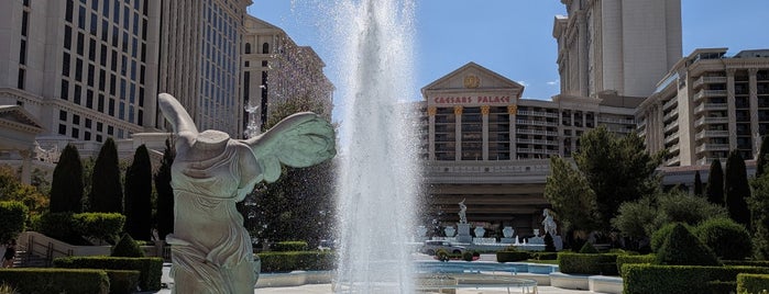 Caesars Palace Gardens is one of Sin City 🍾.