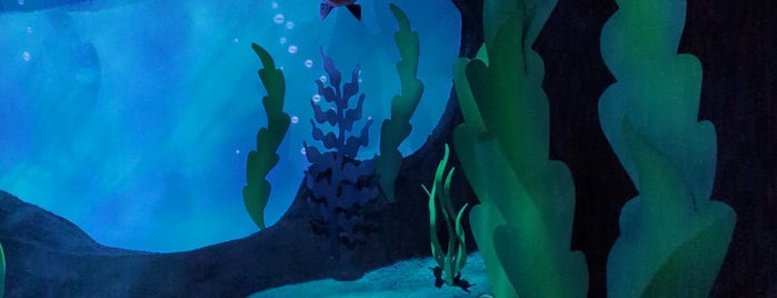 The Little Mermaid: Ariel's Undersea Adventure is one of Disneyland, CA.