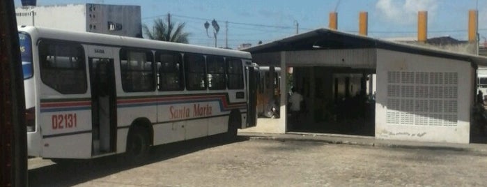 Terminal de Ônibus Rocas is one of สถานที่ที่ Alberto Luthianne ถูกใจ.