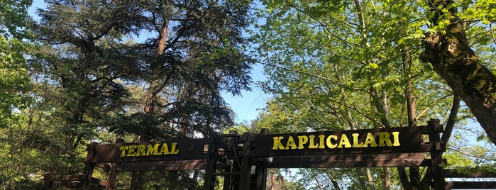 Termal Kaplıcaları is one of สถานที่ที่ Ayhan ถูกใจ.