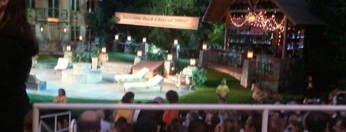 Shakespeare In The Park Line is one of Things pending to do after 5 years in NYC.