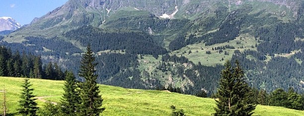 Wengen is one of Grindelwald.