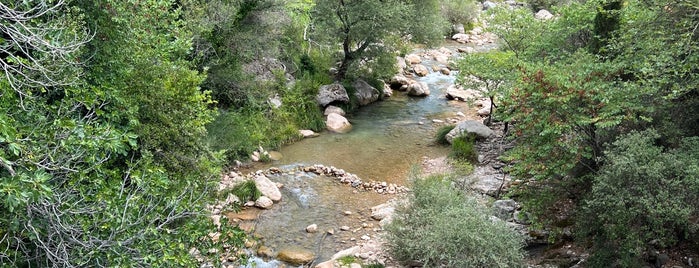 Neda waterfalls is one of Peloponnes / Griechenland.