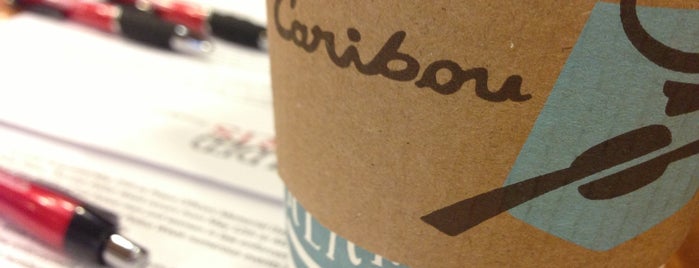 Caribou Coffee is one of Milwaukee Spots to hit.