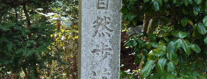 東海自然歩道 起点 is one of 東日本の山-秩父山地.