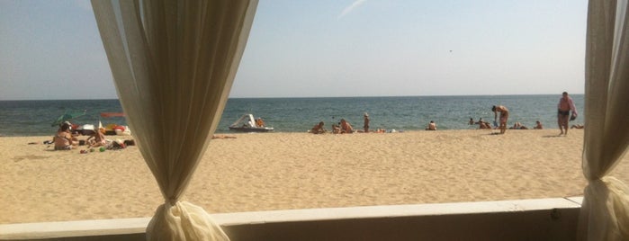 Odessa Beaches