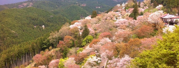 吉野山 下千本 is one of Tempat yang Disukai Atsushi.