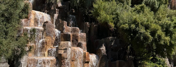 Wynn Waterfall is one of Vegas.