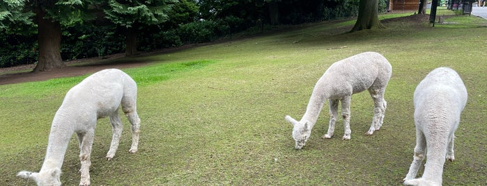 Belfast Zoo is one of Tempat yang Disimpan Zach.