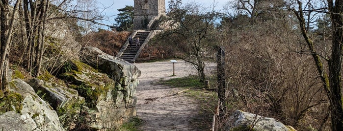 Forêt de Fontainebleau is one of Europ.