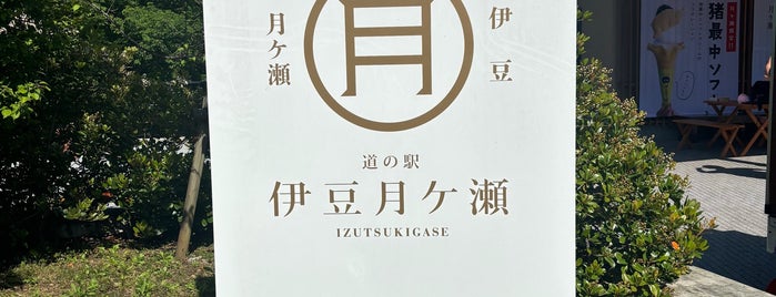 Michi no Eki Izu Tsukigase is one of 車中泊.
