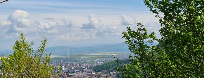 Belvedere is one of TRANSILVANIA - ROMANIA.