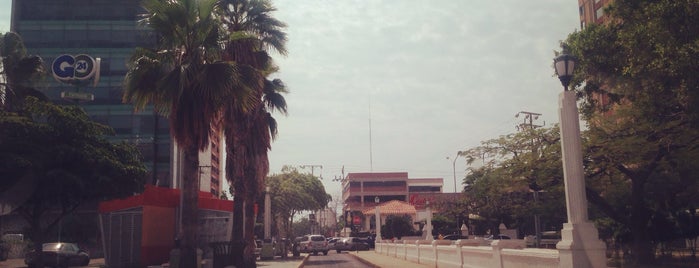 GO24 is one of Maracaibo.