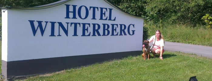 The Winterberg Hotel is one of Winterberg.