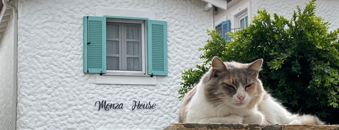 Monza House Otel is one of İzmir.