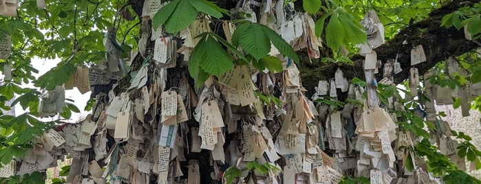 The Wishing Tree is one of Atlas Obscura.