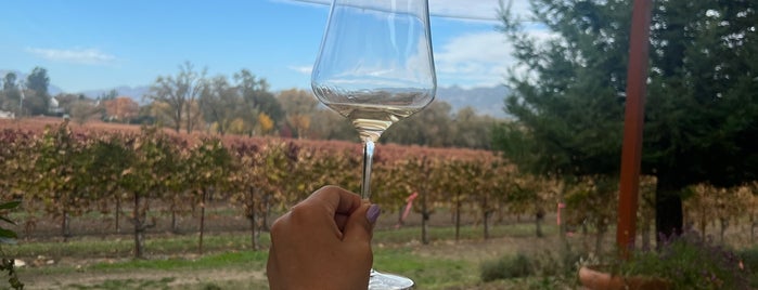 Ballentine Vineyards is one of Wine tasting.