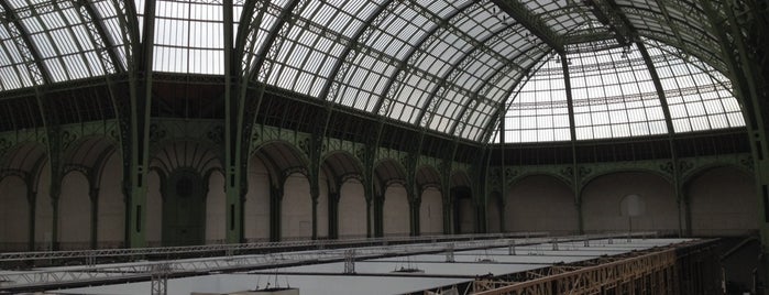 Grand Palais is one of Favorite Paris haunts.