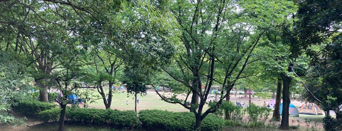 王禅寺ふるさと公園 is one of Posti che sono piaciuti a Kaoru.