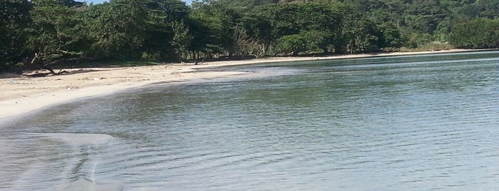 Playa La Angosta is one of Lugares guardados de Kimmie.