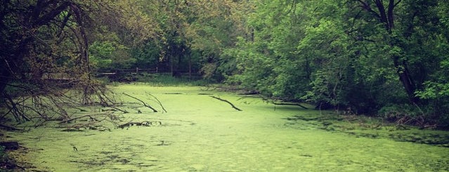 Irons Oaks Environmental Learning Center is one of สถานที่ที่ David ถูกใจ.