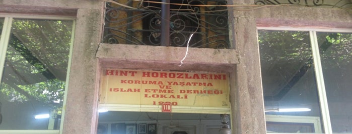 Hint Horozlarını Koruma Yaşatma ve Islah Etme Derneği Lokali is one of Tempat yang Disukai Pnr.