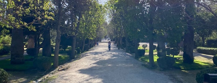 Kifissia Grove is one of All-time favorites in Greece.