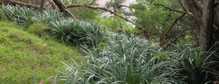 Golden Gate Heights Park is one of ReeD'in Beğendiği Mekanlar.