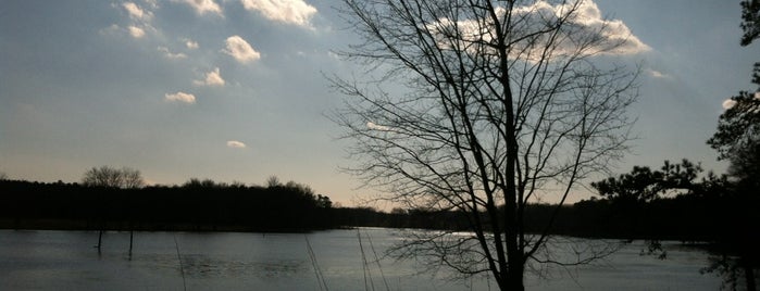 Patuxent Wildlife Refuge at 198 is one of Favorite day trips.