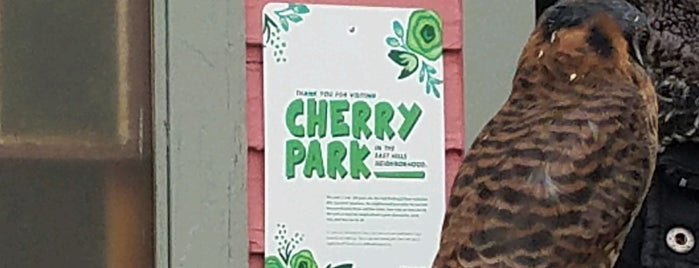 Cherry Park is one of Parks/Outdoor Spaces in GR.