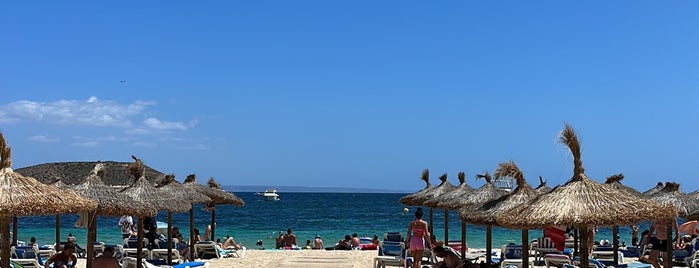 Playa de Magaluf is one of Bogdanさんのお気に入りスポット.