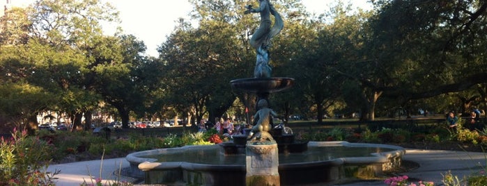 Audubon Park is one of New Orleans Favorites.