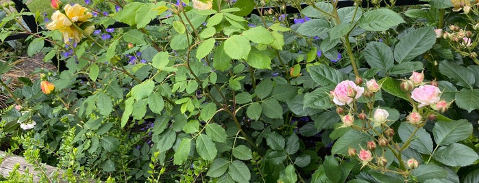 Greenwich Park Herb Garden is one of London.