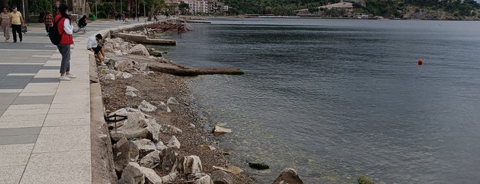Kurbağalı Sahil is one of Plajlar.