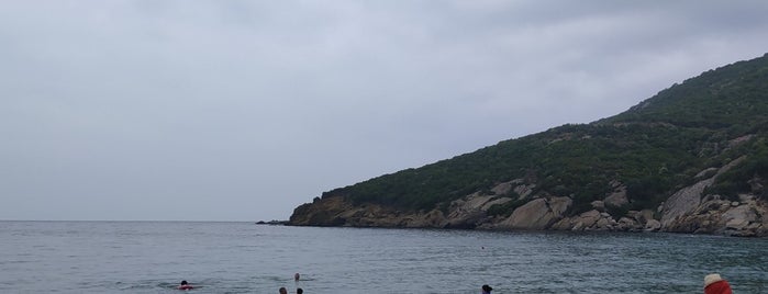 Manastır Beach is one of Bursa Gezisi 2019.