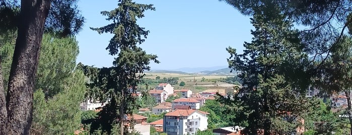 Maltepe Çay Bahçesi is one of MMM.
