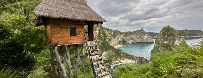 Rumah Pohon “Tree House” is one of Bali.