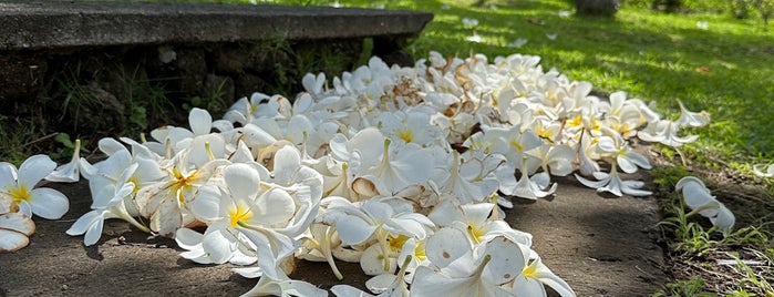 Brahma Vihara Arama is one of Bali.